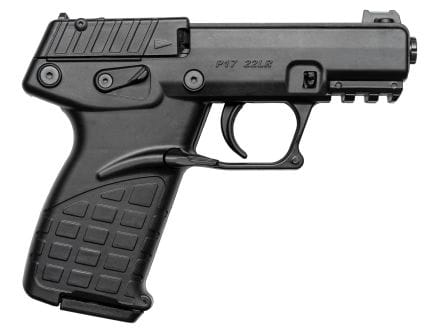 NRA P17